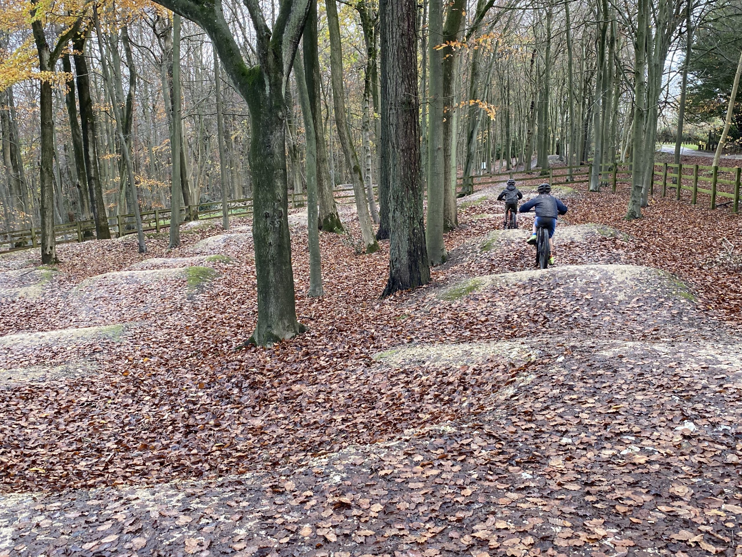 Aston store bike park